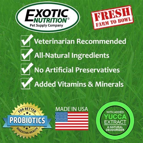 Berries & Bugs (10 lb.) - All Natural High Protein High Fiber Insectivore Diet with Fruit, Gut-Loaded Insects, & Healthy Vitamins - Hedgehogs, Sugar Gliders, Skunks, Opossums & Other Insectivores - size: 10 Pound (Pack of 1)
