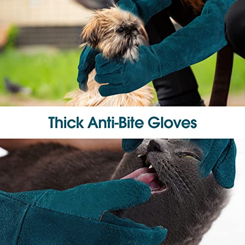 AOWPFVV Animal Handling Gloves Bite Proof Leather Dog Cat Scratch Bird Falcon Grabbing Reptile Squirrel Snake - color: A-dark Green Size Medium(23.6in)