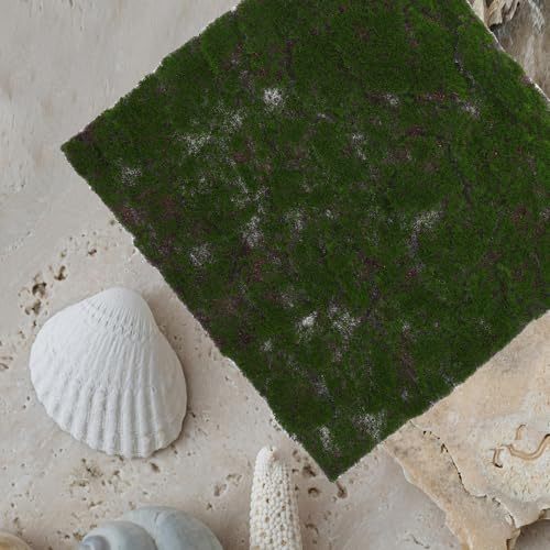 TOYANDONA Artificial Moss Grass Turf Mat 30x30cm Faux Moss Carpet for Home Garden Wedding Decor Reptile Terrarium Indoor Outdoor Artificial Greenery