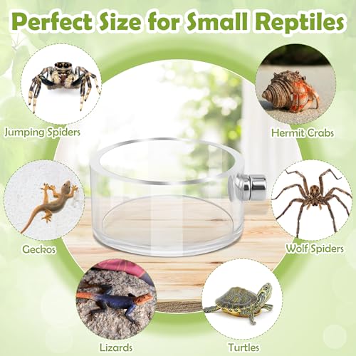 6 PCS Jumping Spider Feeding Dish Set, Anglecai 2 PCS Magnetic Food Dish for Jumping Spider Water Bowl with 1 Tweezer, 1 Dropper, 2 Brushes