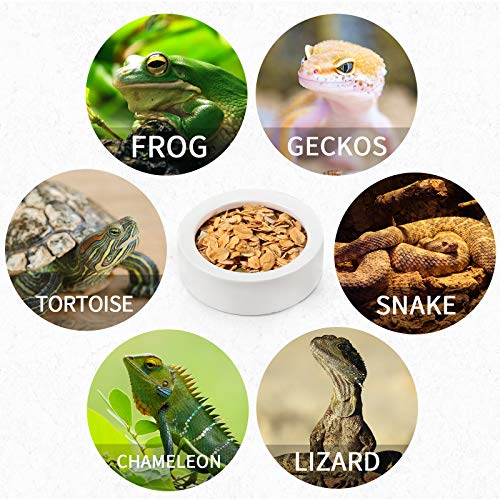 Meanplan 4 Pcs Reptile Bowl Food Dish Reptile Water Food Feeding Dish Ceramic Worm Pet Bowl Anti Escape Feeder for Lizard Anoles Chameleon Bearded Dragon Hermit Crab(2.71 Inch) - size: 2.71 Inch
