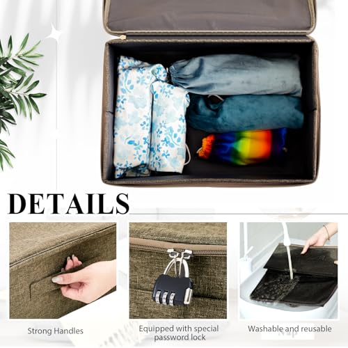 Briwooody Discreet Lockable Toy Bag,Coffee,15 X 10 X 6.3 In - color: Coffee, size: 15 x 10 x 6.3 Inch