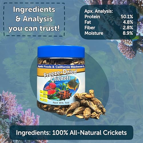 Crickets, Freeze Dried Crickets for Large Tropical Fish, Monster Fish, Reptiles, Turtles, Tortoises, Frogs, Hamsters, Birds, Rodents 6oz Canister - size: 6 Ounce (Pack of 1)
