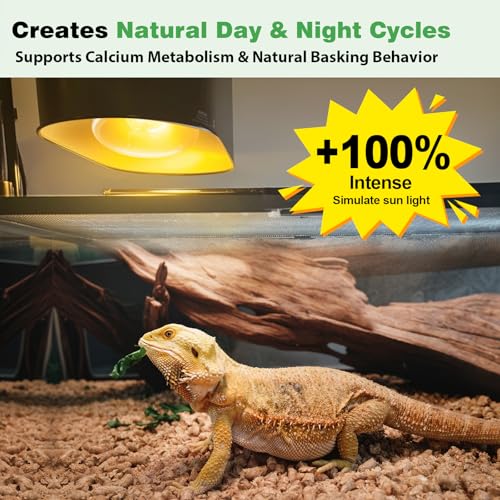 2 Pack 100W Reptile Heat Lamp Bulbs, Full Spectrum UVA/UVB Reptile Light Bulb and Basking Spot Light, UVB Light for Reptiles and Bearded Dragon, Turtle, Lizard, Snake, Amphibians - style: 2PCS 100W UVB Bulbs