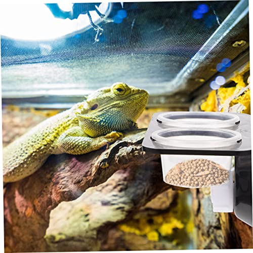 TOYANDONA 1Set Reptile Feeding Ledge with Suction Cup Detachable Food Basin Water Feeder Reptile Tank Supplies for Gecko Lizard Frog