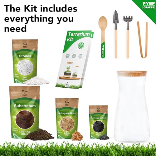 Terrarium Kit for Plants DIY | Starter Pack – Closed Ecosystem – 34 fl oz Glass – Succulents, Air Plants, Bonsai, Indoor Plants – (Plants Not Included) - size: 34 fl oz