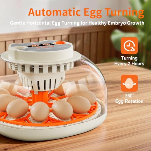 APDOE Egg Incubators for Hatching Eggs, Temperature and Humidity Control, Automatic Egg Turning, Egg Candler, External Water Bottle, Air Vent, for Chicken, Duck & Quail Eggs, 12 Eggs - size: 12 Eggs