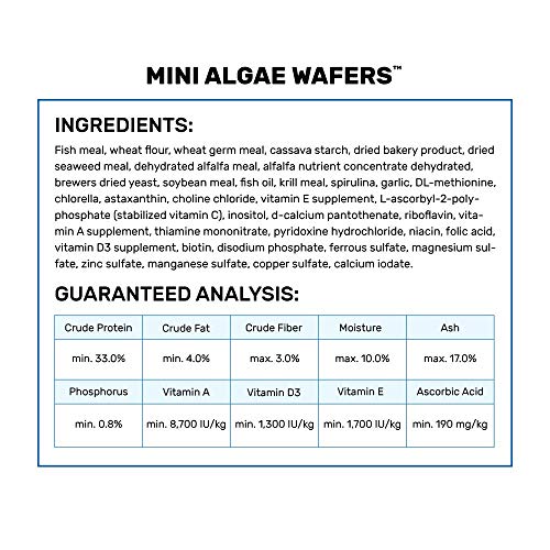 Hikari Mini Algae Wafers, 0.77 oz - size: 0.77 Ounce (Pack of 1)