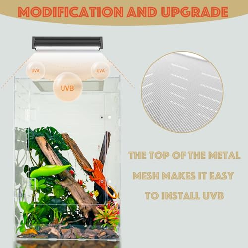 12" x 12" x 18" Reptile Enclosure, Clear Acrylic Terrarium with Front Opening Doors, Screen Top Ventilation, Secure Lock for Arboreal Reptiles - color: Clear
