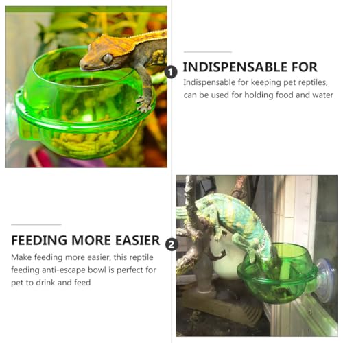4pcs Reptile Feeder Bowls with Suction Cups, Wall-Mounted Lizard and Gecko Feeding Dish Set, Anti-Escape Terrarium Water and Food Basin for Chameleons and Small Reptiles