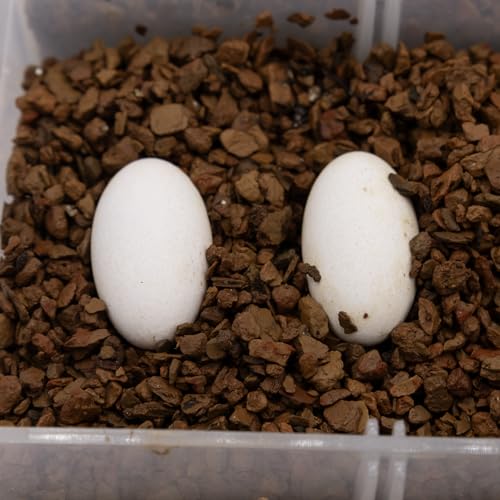 Pangea Hatch Premium Reptile Egg Incubation Substrate (8 lb) - size: 8 lb