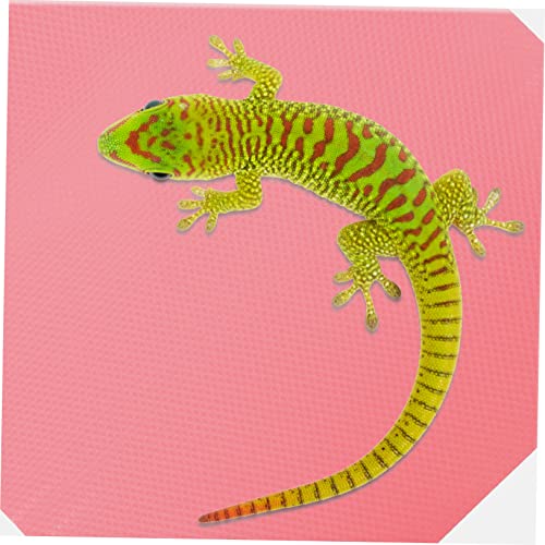 Reptile Carpet Liner for Snake and Turtle Tanks Nonslip Mat for Reptile Cage Fully Washable Reptile Bedding for Geckos and Lizards