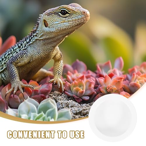 CLISPEED 2 Pcs Ceramics Reptile Feeding Bowl Set for Small Lizards, Round Lizard Feeding Dish with Anti-Escape Design, Safe and Easy to Clean White Bowls for Terrarium Use