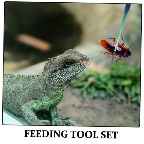 BESTonZON 2PCS Stainless Steel Aquarium Feeding Tweezers Set Curved and Straight PET Feeding Tongs for Lizards Snakes and Reptiles Long Handle Tools for Terrarium and Aquatic Plants