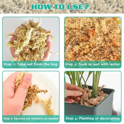 ZeeDix 1.1 lb Sphagnum Moss for Plants Indoor, Natural Long Fiber Sphagnum Orchid Moss Bulk for Carnivorous Plants, Succulents, Monstera, Flower & Reptile Terrariums Habitats (Expands to 25 qt) - size: 1.1 pounds