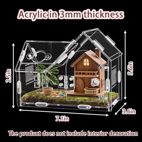 Acrylic Jumping Spider Terrarium with Magnetic Lock – 5.6” Tall Transparent Enclosure for Tarantulas, Hermit Crabs & Small Insects – Secure Ventilated Habitat with Easy Snap Assembly - size: 7.1 x 3.6 x 5.6 inches