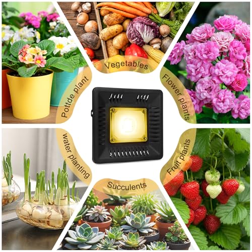 CANAGROW Waterproof Plant Light, Outdoor Grow Light, Sunlike Full Spectrum LED Grow Lamp, Refugium Light for Saltwater Aquarium, Without Noise, Heating Lamps for Plants Seeding Veg Blooming Fruiting - size: 1 Bulb White - 100 W