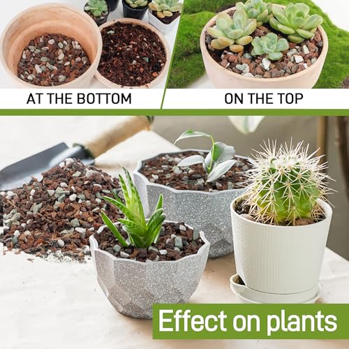 Bonsai Soil 10QT,Fast Draining Organic Potting Soil Mix Perlite,Lava,bark,Volcanic Rock,Green Zeolite,Premium Pre Mixed Bonsai Soil for Potted Plants - size: 10 Quart