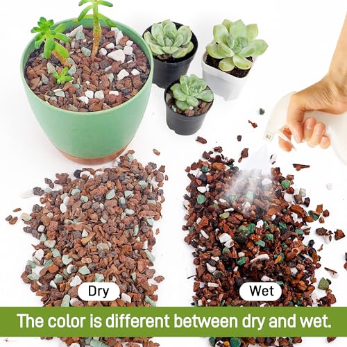 Bonsai Soil 10QT,Fast Draining Organic Potting Soil Mix Perlite,Lava,bark,Volcanic Rock,Green Zeolite,Premium Pre Mixed Bonsai Soil for Potted Plants - size: 10 Quart
