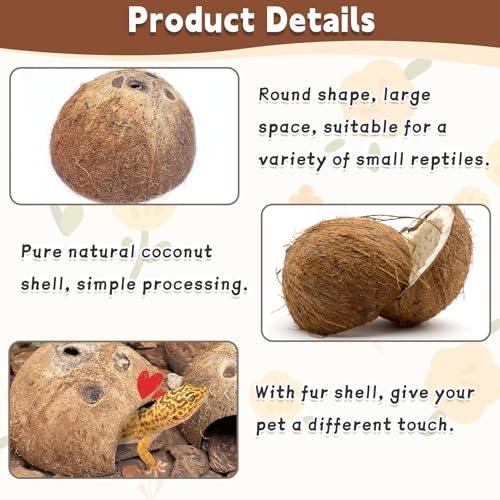 PINVNBY Natural Coconut Reptile Hideouts Lizard, Coco Hut Hermit Crab Hut Aquarium Fish Hide Cave for Small Reptile Crested Gecko Leopard Gecko Spider Snail Climber Toys (4 PCS Natural Surface) - size: 4 PCS Natural Surface