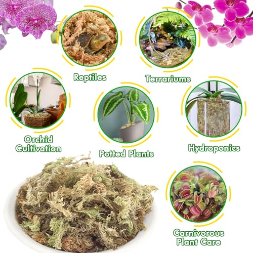 ZeeDix 4 qt Sphagnum Moss for Indoor Plants, Natural Dried Long Fiber Moss for Orchid Repotting, Carnivorous Plants, Succulents, Monstera, Flower & Reptile Terrariums Habitats (3 oz) - size: 3oz