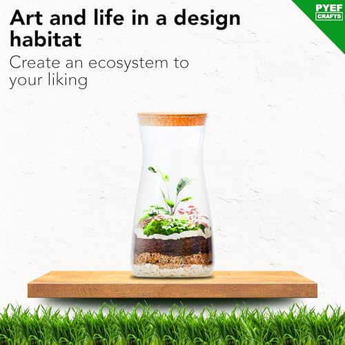 Terrarium Kit for Plants DIY | Starter Pack – Closed Ecosystem – 34 fl oz Glass – Succulents, Air Plants, Bonsai, Indoor Plants – (Plants Not Included) - size: 34 fl oz