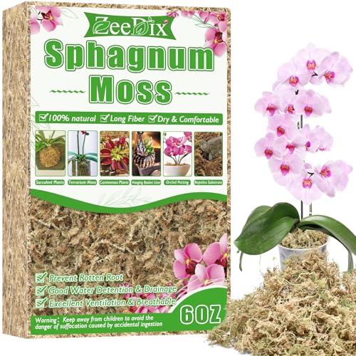 ZeeDix 6 oz Sphagnum Moss for Plants Indoor, Long Fiber Natural Orchid Moss for Repotting Carnivorous Plants, Succulents, Monstera, Flower & Reptile Terrariums Habitats (Expands to 8 qt) - size: 6 ounces