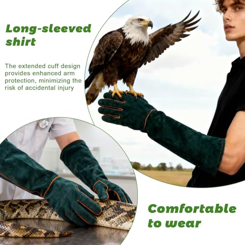 23.6 Inch Cowhide Reptile Handling Gloves, Bite Proof and Puncture Proof Arm Protection for Iguana Snake Falcon