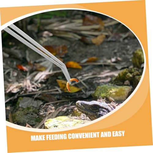 Heavy-Duty Stainless Steel Reptile Feeding Tongs Long Handle Tweezers for Aquatic and Terrarium Use Angled Design for Precision Feeding for Lizards and Snakes