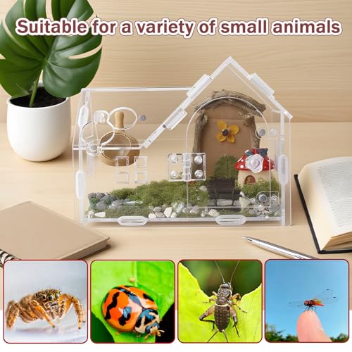 Acrylic Jumping Spider Terrarium with Magnetic Lock – 5.6” Tall Transparent Enclosure for Tarantulas, Hermit Crabs & Small Insects – Secure Ventilated Habitat with Easy Snap Assembly - size: 7.1 x 3.6 x 5.6 inches