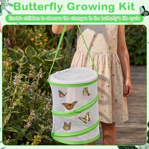 Sherr 6 Pack Butterfly Habitat Cage, 9"x11" Pop-up Mesh Butterfly Net Terrarium, Reusable Caterpillar Raising Kit, Portable Bug Catcher Enclosure for Transporting and Raising Critter (Green) - color: Green