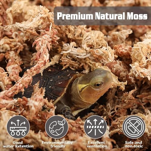 ZeeDix 8 oz Sphagnum Moss for Indoor Plants, Natural Orchid Potting Mix for Repotting, Dried Long Fiber Sphagnum Peat Moss for Carnivorous Plants Succulents Reptile Habitats (Expands to 12 qt) - size: 8 ounces