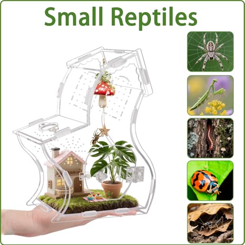 Magnetic Acrylic Enclosure for Jumping Spiders & Small Reptiles – 5.9"x4.7"x9.4" Escape-Proof Habitat with Easy-Feed Magnetic Door, 3mm Thick Clear Terrarium for Tarantulas, Mantis, Geckos & Beetles - size: 5.9 x 4.7 x 9.4 inches