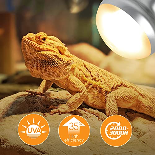 WACOOL 2 Pack 100W Reptile Heat Lamp Bulbs - Intense Basking Spot Lights for Bearded Dragons, Lizards, Turtles, Tortoises, Geckos - UVA Daylight Heat Lamp for Terrariums, Vivariums & Enclosures - style: 100W-2pack