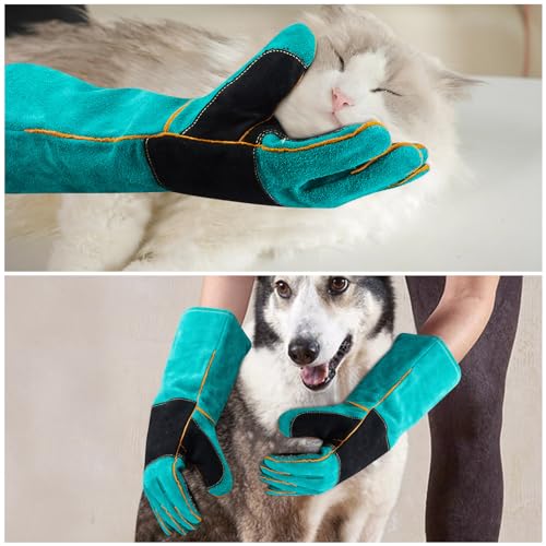 AOWPFVV 23.6 Inches Leather Animal Handling Gloves, Bite Proof Gloves for Dog Cat Bird Falcon Grabbing Reptile Squirrel Snake(Large) - color: Light Green +Black Padding Size Large 23.6in