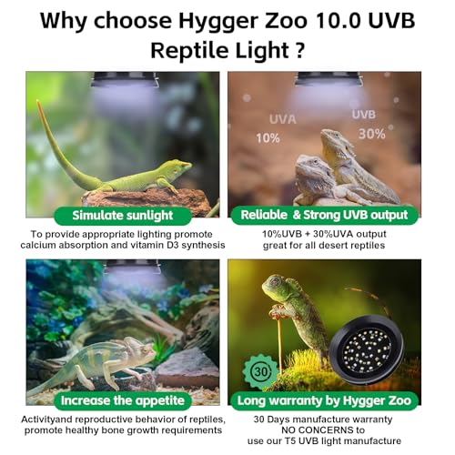 UVB Light for Reptiles with Dimming, LED UVB Light Bulb Fixture for Bearded Dragon Gecko Lizard Turtle Snake, Adjustable Brightness UVA UVB Lamp for Tropical & Desert Reptile Tank Accessories 6W Black - size: 6W-Balck
