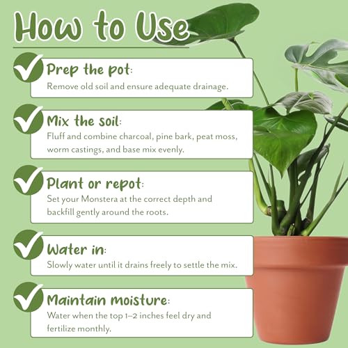 Soil Sunrise Monstera Houseplant Potting Soil Mix (12 Quarts) Custom Blend for Growing and Repotting - size: 12 Quarts
