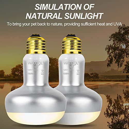 WACOOL 4 Pack Heat Lamp Bulbs for Reptiles, 100W Intense Basking Spot Lights, Simulate Daytime Sunshine Heat Bulbs, UVA Daylight Heat Lamp for Bearded Dragon, Lizard, Turtle, Tortoise, Gecko - style: 100W-4 pack