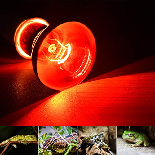 50W Infrared Heat Lamp Bulb E26 Base Red Basking Spot Light for Reptile Terrarium, Non-Disruptive Night Heater for Bearded Dragons Snake Turtle and Amphibian 2 Pack