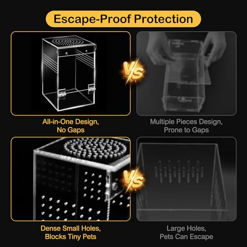 Jumping Spider Enclosure Starter Kit,Escape Proof Ocean Terrarium | Praying Mantis Terrariums,Transparent Acrylic Complete Bug Habitat,All In One Arboreal Tarantula Cribs Cage,Insect Container - size: Large