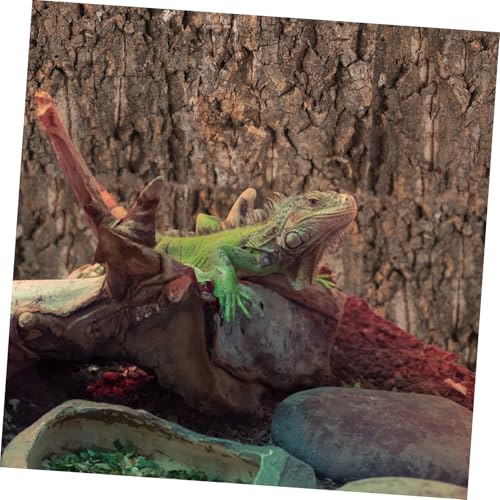 VILLCASE Reptile Branches Cork Terrarium Background, Natural Cork Bark Backdrop Tank Background Reptile Climbing Wall Terrarium Decor Accessories for Turtle Beared Dragon Snake,3 PCS Tree Bark