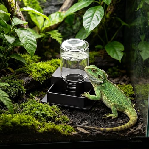 Reptile Water Feeder - Automatic Leak-Proof Dispenser, Constant Level Hydration Station | Waterer for Gecko Snake Lizard Bearded Dragon Home Indoor Tank Habitat - color: ll