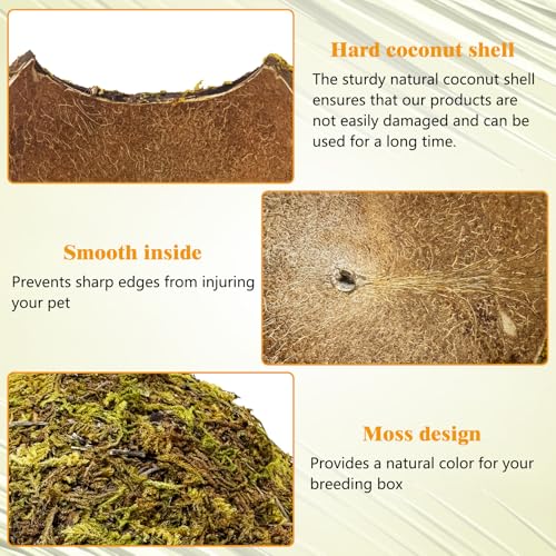 PINVNBY 2 Pack Natural Green Moss Hide Caves Coconut Reptile Hideouts Hamster Climbing Toys Gecko Habitat Decor Lizard Shell Shelter for Snake Tarantulas Turtle Chameleon - size: 2 PCS Moss Surface