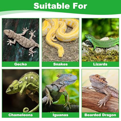 kathson Reptile Carpet, Natural Moss Mat for Terrarium, Bearded Dragon Tank Flooring Green Substrate Liner for Leopard Gecko Hermit Crab Lizard Tortoise (39.37" X 11.81")