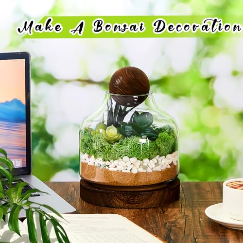 2 Pcs Glass Terrarium Container with Wooden Base and Decorative Ball Lid, 7 Inch DIY Terrarium Jar for Moss, Ferns, Air Plants and Succulents, Mini Indoor Garden Vase for Home Office Desk Decor