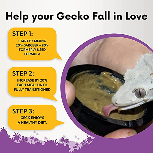 Gargeer 16oz Complete Crested Gecko Food Diet. Premium Mix, Ready to Use Freshly Made Powder. Unique Formula, Developed & Made in the USA. Enjoy! (Tropical + Insects Protein) - size: 1 Pound (Pack of 1)