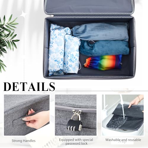 Briwooody Discreet Lockable Toy Bag,Gray,15 X 10 X 6.3 In - color: Gray, size: 15 x 10 x 6.3 Inch