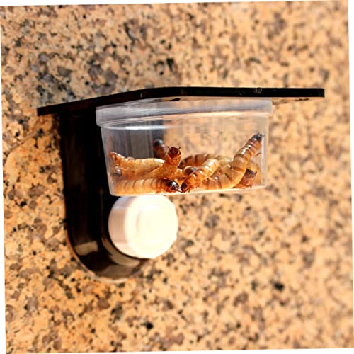 BESPORTBLE 5pcs Reptile Food Water Bowl for Tortoise Lizards Pet Bowls Suction Cup Reptile Feeder Easy to Clean - size: Size 3