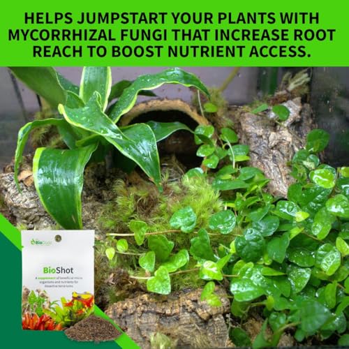 The Bio Dude BioShot for bioactive Substrate - Soil inoculant and Plant Booster (36 Quart Substrate Shot) - size: 36 quart substrate shot