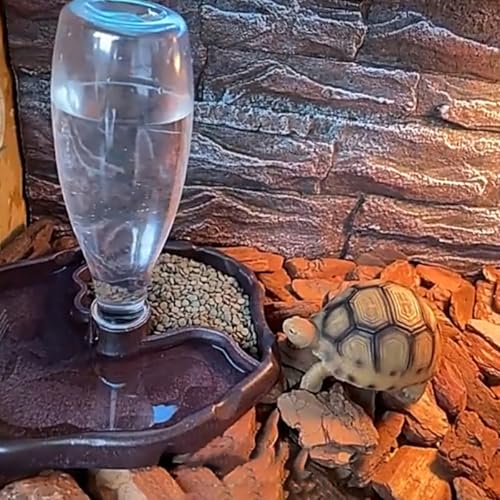 Healifty Automatic Reptile Water Feeder and Lizard Food Dish with Deep Brown Reservoir Bowl for Tortoise and Bearded Dragon Terrarium Use